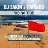 DJ Sakin & Friends - Rising Tide (Remixes)